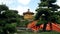 Walking towards the bridge and pavilion of absolute perfection in nan lian gardens in hong kong