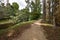 The walking track alongside the Ovens River.