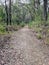 Walking track through the Australian bush