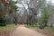 Walking track and empty park bench in a park in autumn