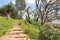 Walking track on the North Stradbroke Island