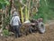 Walking tractors are another type of power machinery used to drive wheels for tractors.