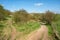 Walking trail acroos the hills or pass to Ivinghoe Beacon - 3