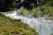 A walking trail along a thermal stream near the town of Taupo, New Zealand