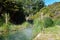 A walking trail along a thermal stream near the town of Taupo, New Zealand