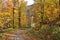 Walking Trail Through the Autumn Colors of Vermont