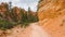 Walking trail in Bryce Canyon.
