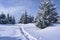 Walking trail buried under snow in the Jizera Mountains