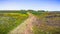 Walking trail through fields covered in wildflowers, North Table Ecological Reserve, Oroville, California