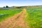 Walking trail through fields covered in wildflowers, North Table Ecological Reserve, Oroville, California