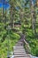 Walking trail of health with wooden stairs leading to hill and arbor