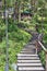 Walking trail of health with wooden stairs leading to hill and arbor