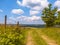 Walking trail on a Hill in a Green Summer Landscape