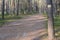 Walking trail marks and signs on trees showing direction for hikers in forest