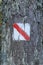 Walking trail marks and signs on trees showing direction for hikers in forest