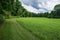 A Walking Trail Through a Meadow