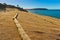 Walking trail next to ocean with erosion control mesh