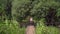 Walking Trail in Park. Wooden road in forest. background in trees. Fence. way