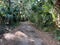 The walking trail in Trimble Park in Mount Dora, Florida