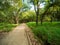 Walking trails in a quiet, serene, peaceful forest park with vibrant green trees and vegetation