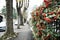 walking in Treviso, a tree-lined avenue with flowered walls