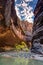 Walking in the Virgin river of Zion National Park