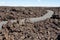 Walking among the volcanic rocks at Craters of the Moon National Monument and Preserve