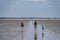 Walking in the wadden sea Unesco area to the Island Langli close to Esbjerg Denmark