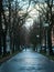 Walking on a walking path in a city park of Brno, surrounded by bare treetops in winter