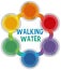 Walking water science experiment