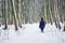 Walking in the winter forest. Lonely girl in the forest in the w
