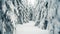 Walking in winter snowy forest with tall spruce and pine Beautiful panorama of snowy mountains landscape with snow covered forest.