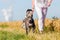 Walking woman and running great dane puppy