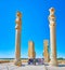 Walking through the Xerxes Gate, Persepolis, Iran