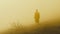 Walking In The Yellow Fog: A Zen Minimalism Journey