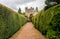 A walkpath thru the gardens to Crathes Castle with green hedges on both sides