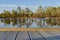 Walks through a swamps along a wooden trail among moss and pines. Nature reserve in Estonia.