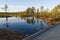 Walks through a swamps along a wooden trail among moss and pines. Nature reserve in Estonia.