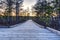 Walks through a swamps along a wooden trail among moss and pines. Nature reserve in Estonia.