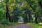 Walkway through the Acharya Jagadish Chandra Bose Indian Botanic Garden of Shibpur, Howrah near Kolkata