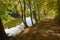 Walkway along pond, autumnal beech trees