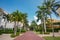 Walkway with arching trees photo