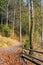 Walkway around lake of Synevyr National park