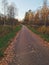 Walkway in Autumn. Asphalt road through the woods in Fall. Swedish nature.
