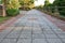 Walkway block stone color cement in the park and copy space add text Select focus with shallow depth of field