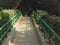 Walkway bridge in park surrounded by greenery