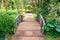 Walkway bridge sylvan