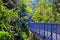 Walkway canopy over The Queen Sirikrit Botanical Garden in Mae Rim Chiangmai