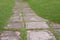 Walkway cement plate on green grass