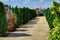 Walkway in Cemetery, medieval town of Labin, Croatia, in the background.